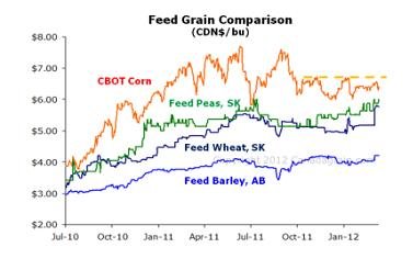 wheat vs barley